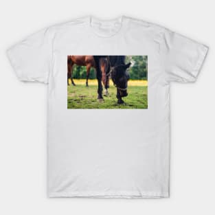 Fun at  Farm T-Shirt